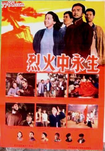 国际驾照通用国家